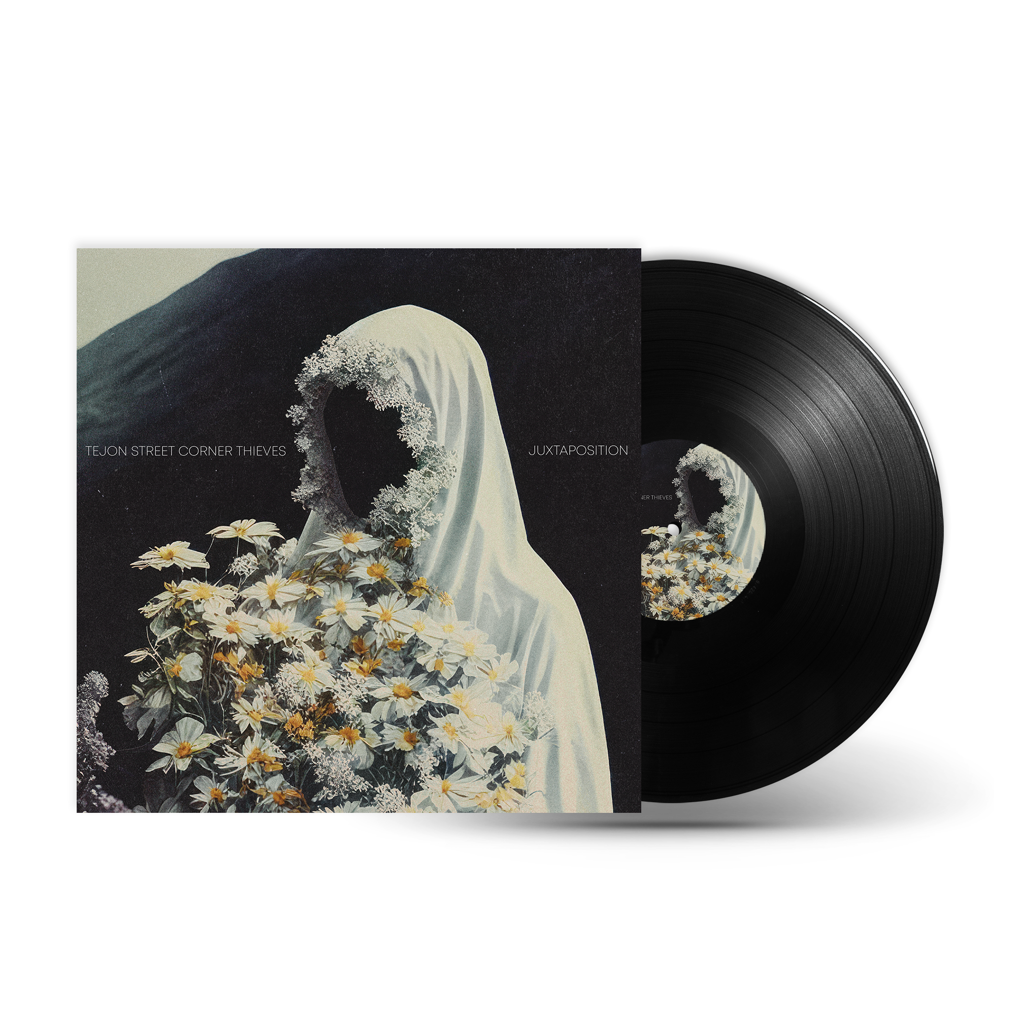 TEJON STREET CORNER THIEVES – Liars Club Records TEJON STREET CORNER THIEVES – Liars Club Records